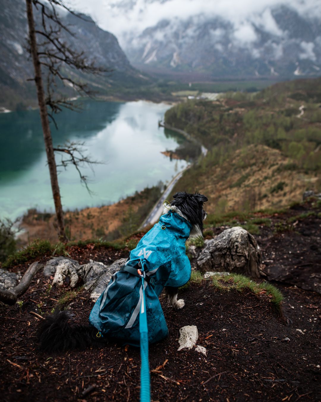 Fjord 2.0 Non-stop Dogwear